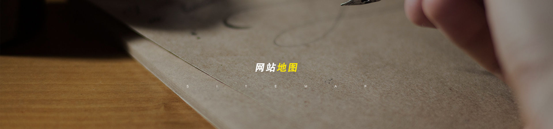 惠新网保险